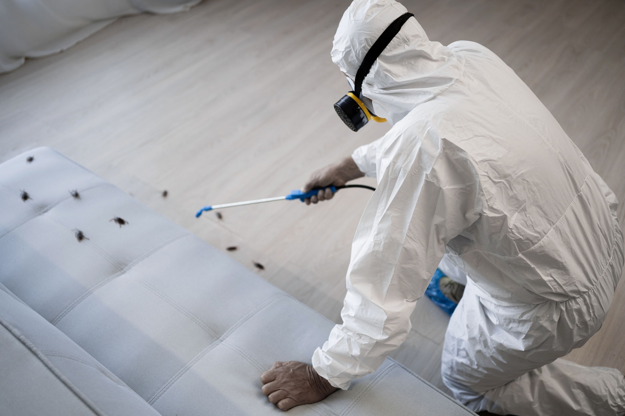 Pest Control